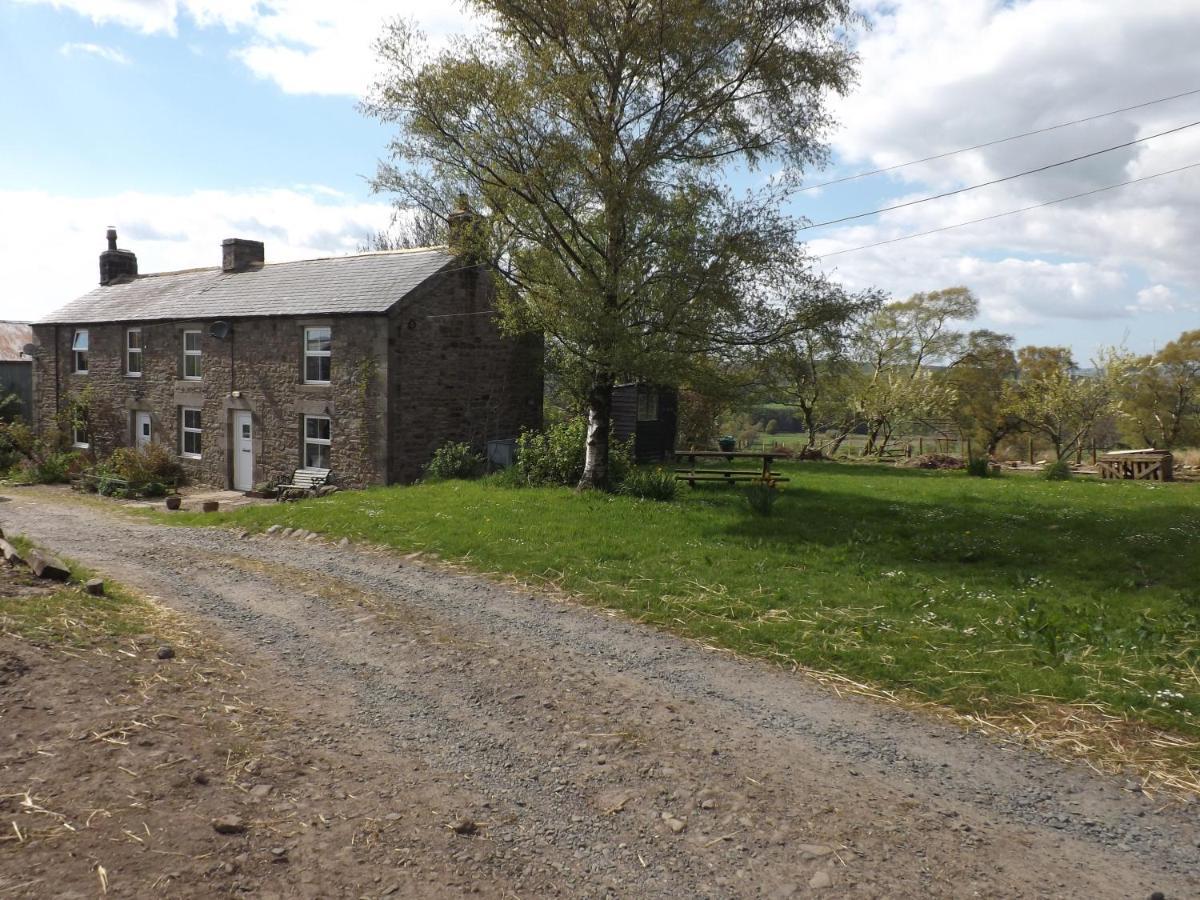Hillis Close Farm Cottage Халтвисл Экстерьер фото